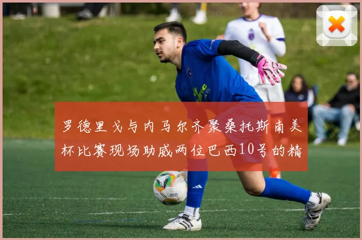 罗德里戈与内马尔齐聚桑托斯南美杯比赛现场助威两位巴西10号的精彩时刻
