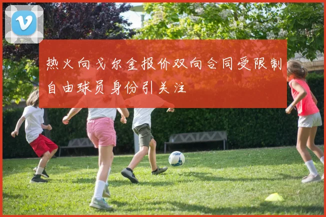 热火向戈尔金报价双向合同受限制自由球员身份引关注